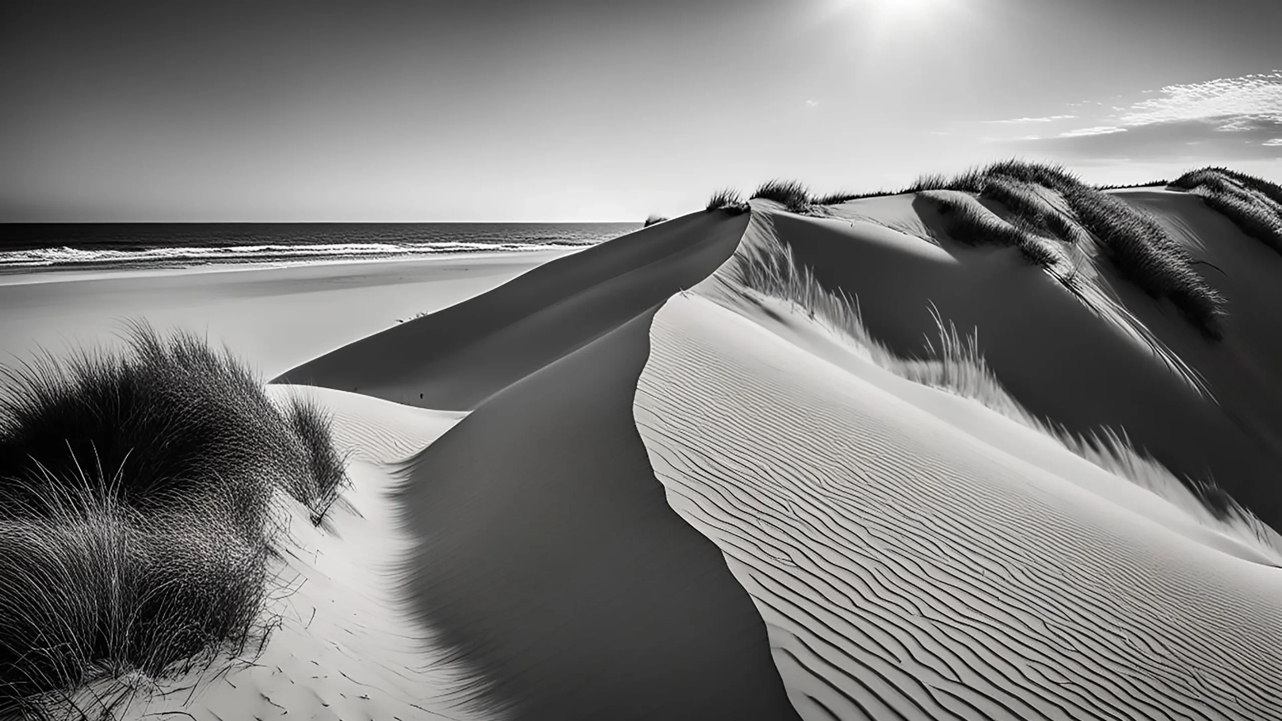 Image shows a black and white image of an empty beach with patches of grass on windswept dunes in the foreground and a wide open sky and ocean stretching to the horizon. Intended to set the mood for a song named "Sky's So Big" by the artist IXNAY.